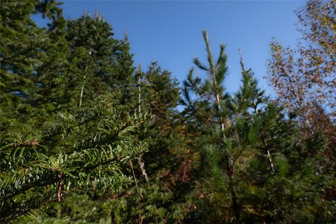 Tiny photo for NHN Kelly Mountain Road, Columbia Falls, MT 59912 (MLS # 30058581)