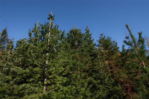 Tiny photo for NHN Kelly Mountain Road, Columbia Falls, MT 59912 (MLS # 30058581)