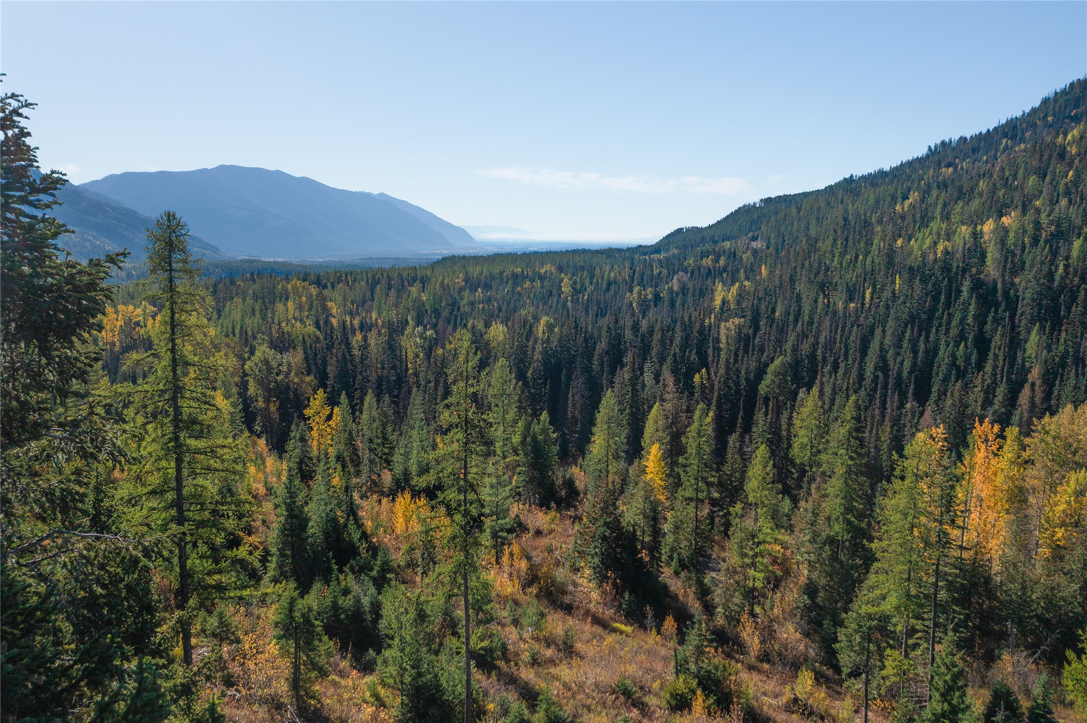 NHN Kelly Mountain Road