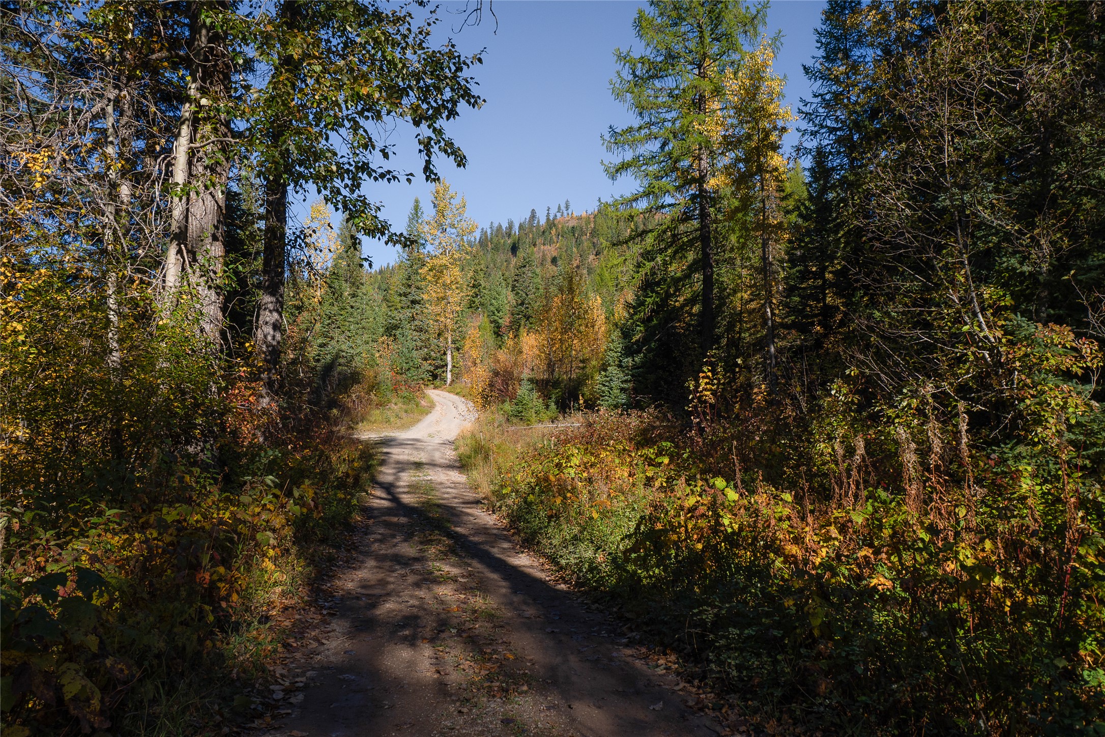 NHN Kelly Mountain Road