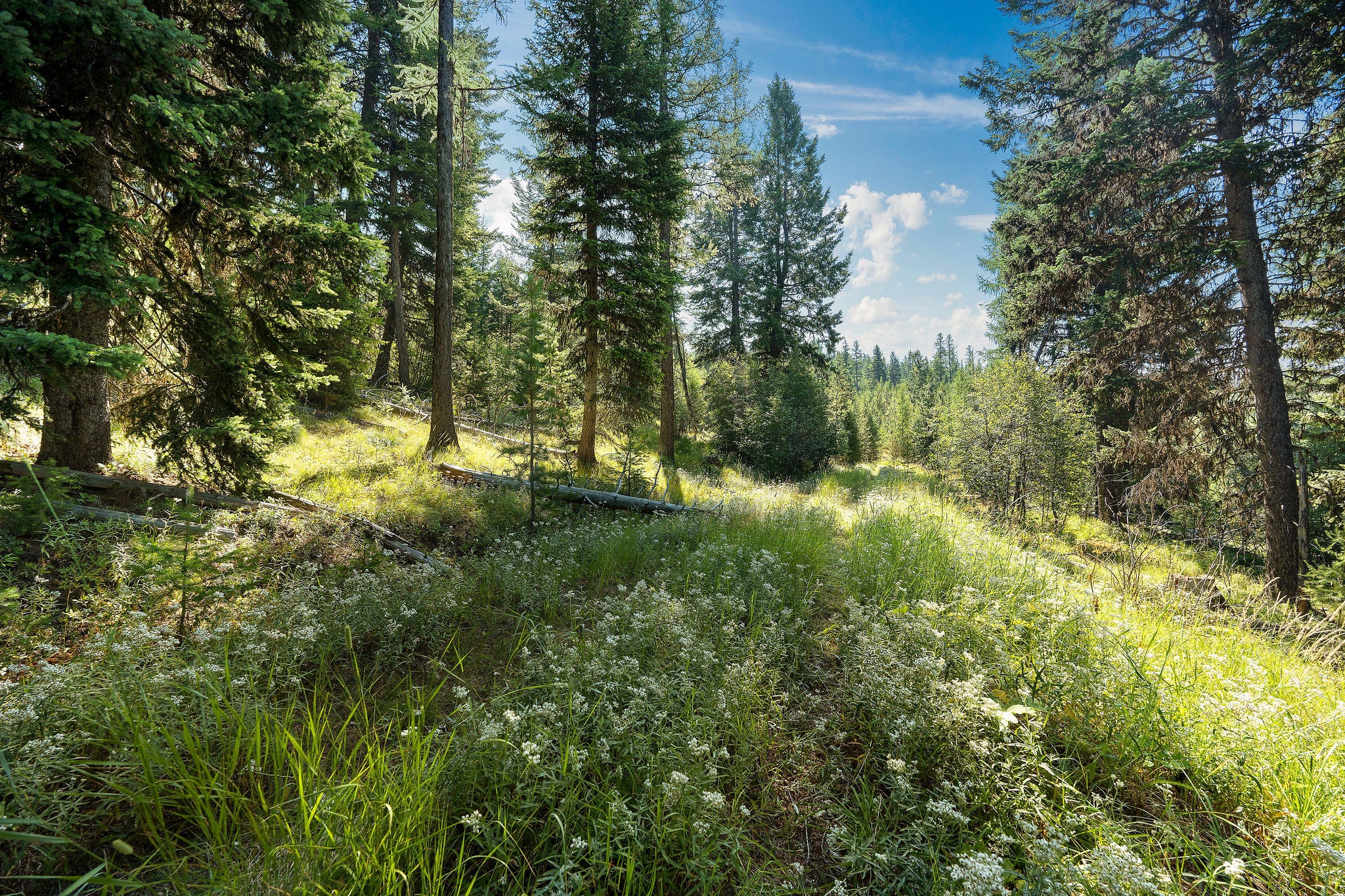 Nhn Fish Creek Road