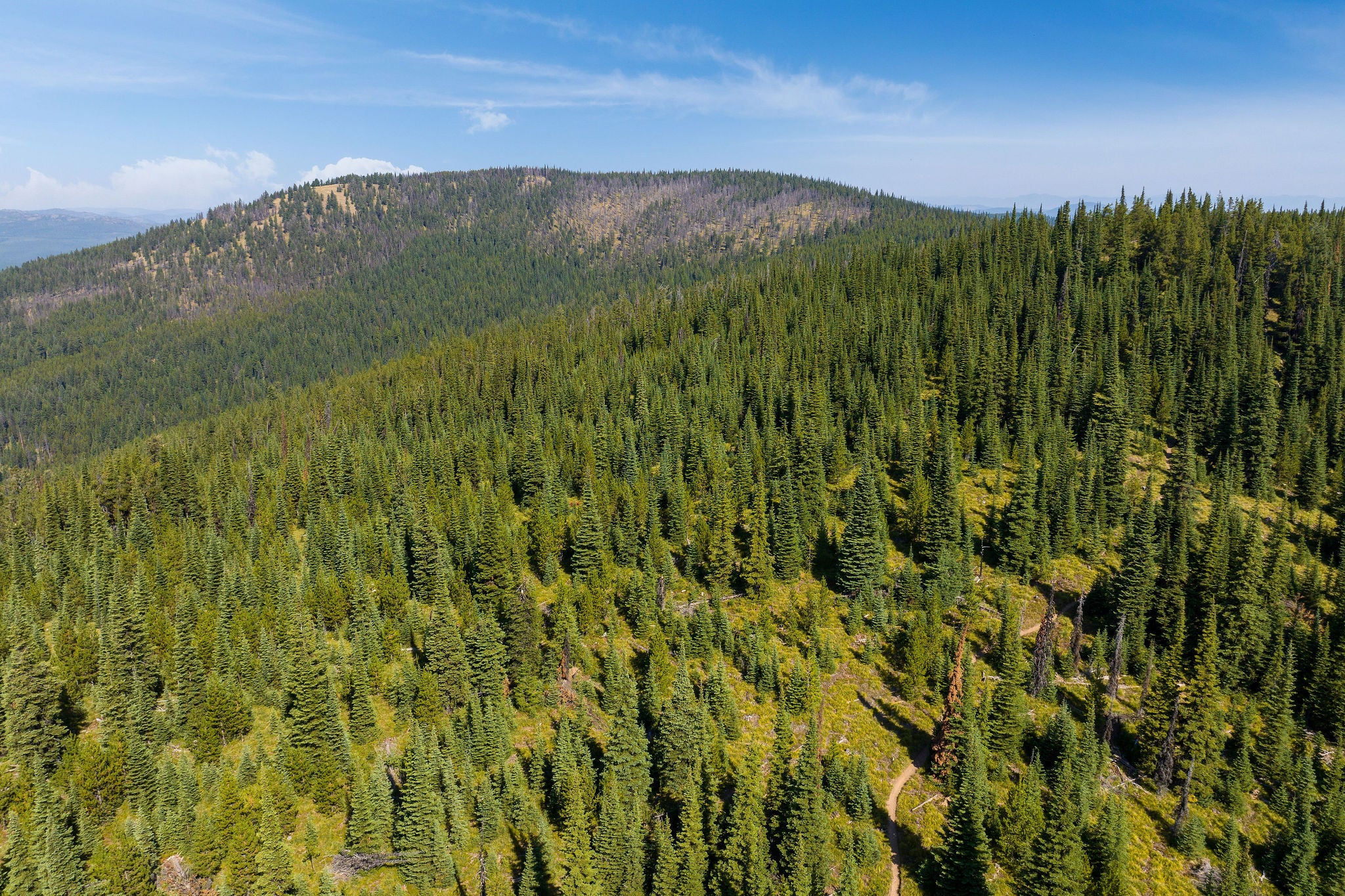 Nhn Fish Creek Road