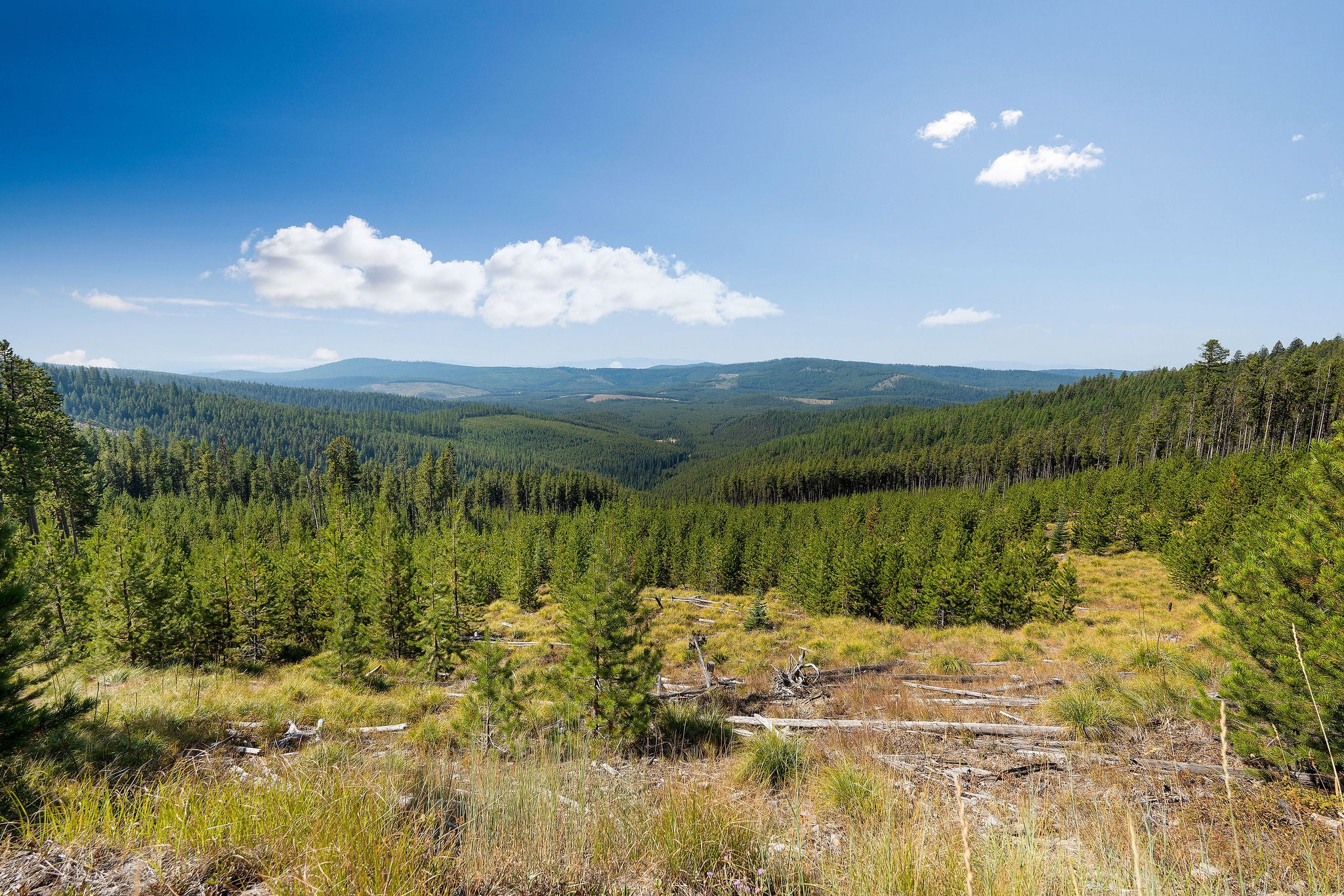 Nhn Fish Creek Road