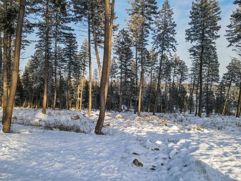 Tiny photo for 269 Layton Road, Whitefish, MT 59937 (MLS # 30064789)