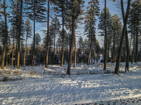 Tiny photo for 269 Layton Road, Whitefish, MT 59937 (MLS # 30064789)