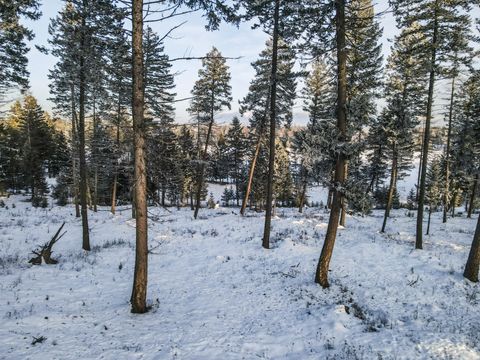 Tiny photo for 269 Layton Road, Whitefish, MT 59937 (MLS # 30064789)