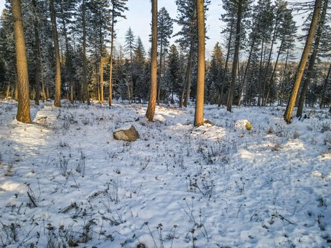 Tiny photo for 269 Layton Road, Whitefish, MT 59937 (MLS # 30064789)