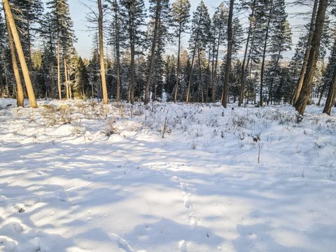 Tiny photo for 269 Layton Road, Whitefish, MT 59937 (MLS # 30064789)