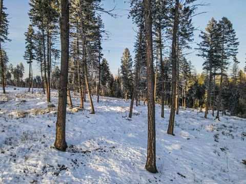 Tiny photo for 269 Layton Road, Whitefish, MT 59937 (MLS # 30064789)