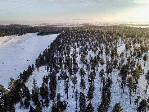 Tiny photo for 269 Layton Road, Whitefish, MT 59937 (MLS # 30064789)