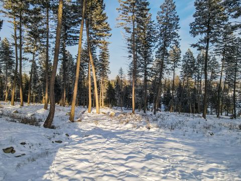 Tiny photo for 269 Layton Road, Whitefish, MT 59937 (MLS # 30064789)