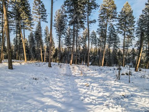 Tiny photo for 269 Layton Road, Whitefish, MT 59937 (MLS # 30064789)