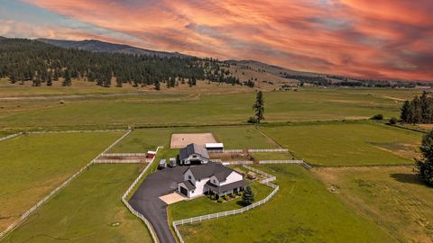 16350 Pinckney Court Frenchtown MT 59834