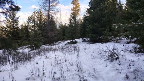 Tiny photo for 804 Kienas Road, Kalispell, MT 59901 (MLS # 30063784)