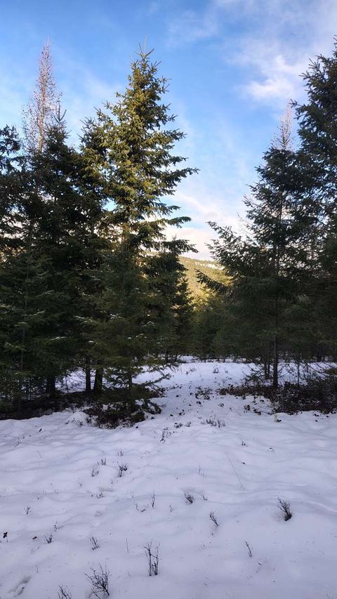 Tiny photo for 804 Kienas Road, Kalispell, MT 59901 (MLS # 30063784)