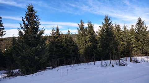 Tiny photo for 804 Kienas Road, Kalispell, MT 59901 (MLS # 30063784)