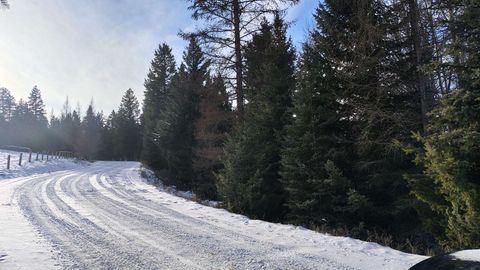 Tiny photo for 804 Kienas Road, Kalispell, MT 59901 (MLS # 30063784)