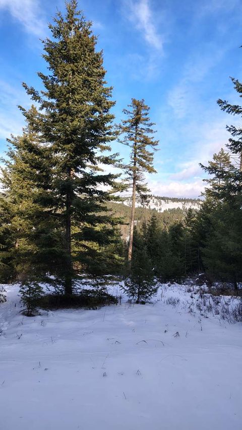 Tiny photo for 804 Kienas Road, Kalispell, MT 59901 (MLS # 30063784)