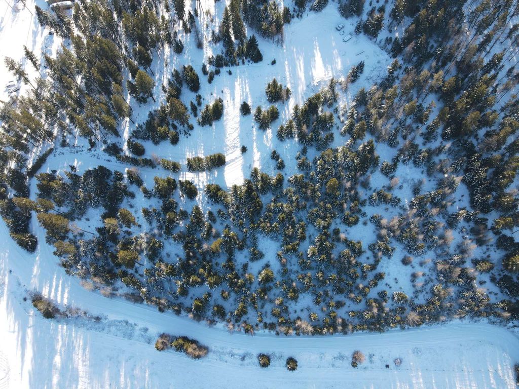 Photo of 804 Kienas Road, Kalispell, MT 59901 (MLS # 30063784)