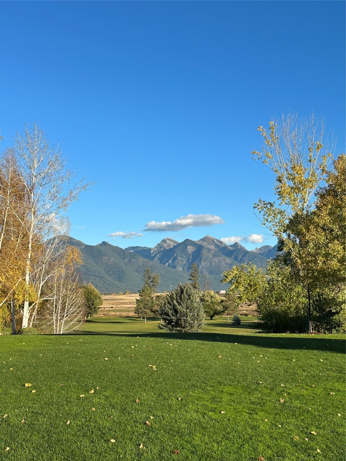 Ronan, Montana 59864, United States, ,Land,Active,48839