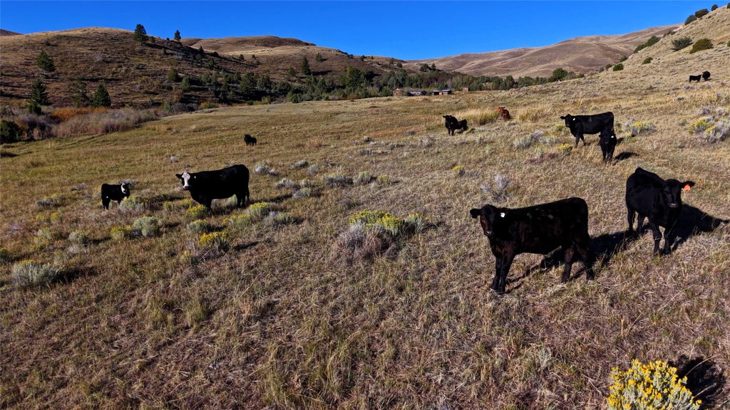Photo of NHN Small Horn Road, Dillon, MT 59725 (MLS # 30079033)