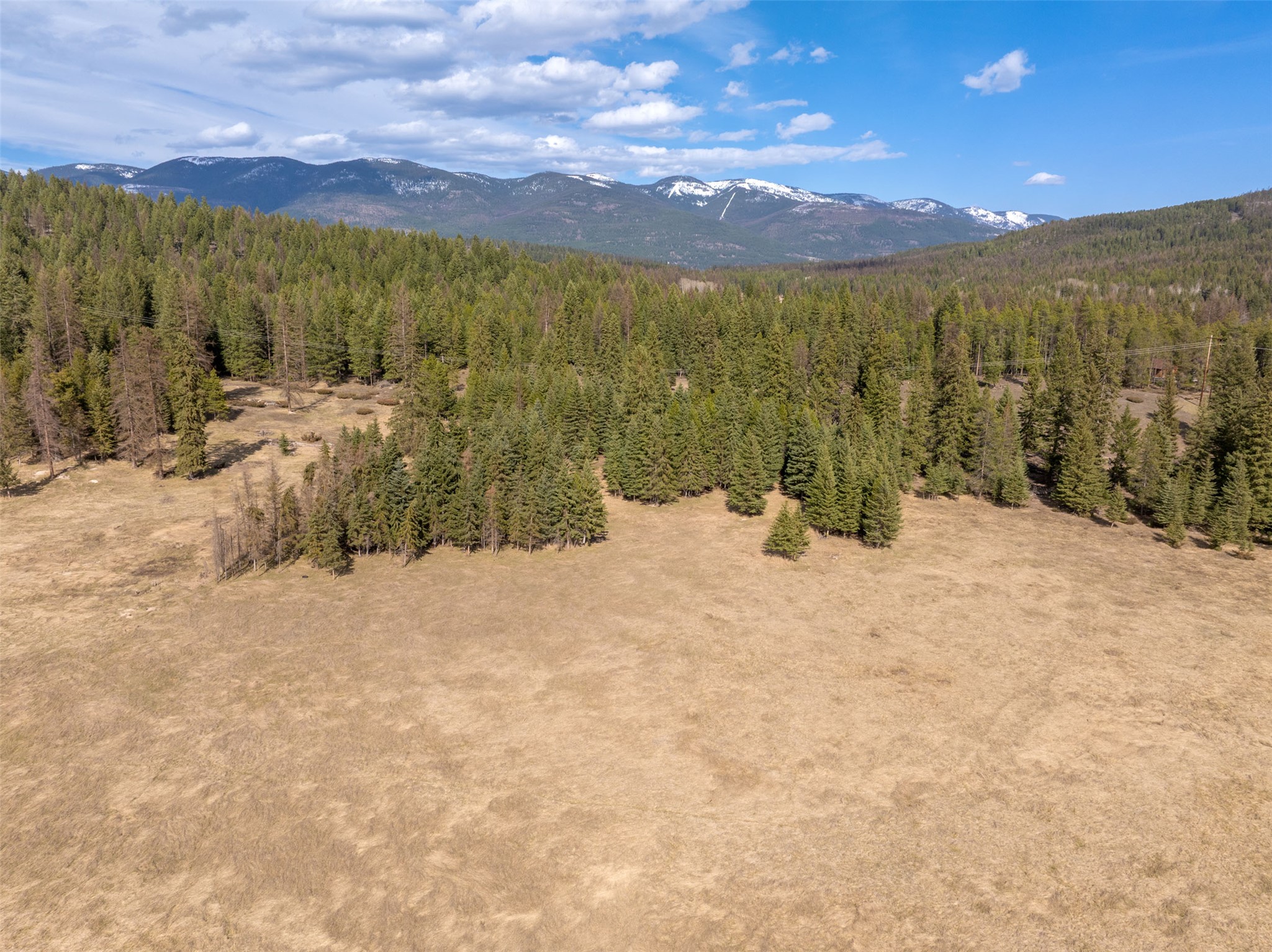340 Tamarack Creek Road