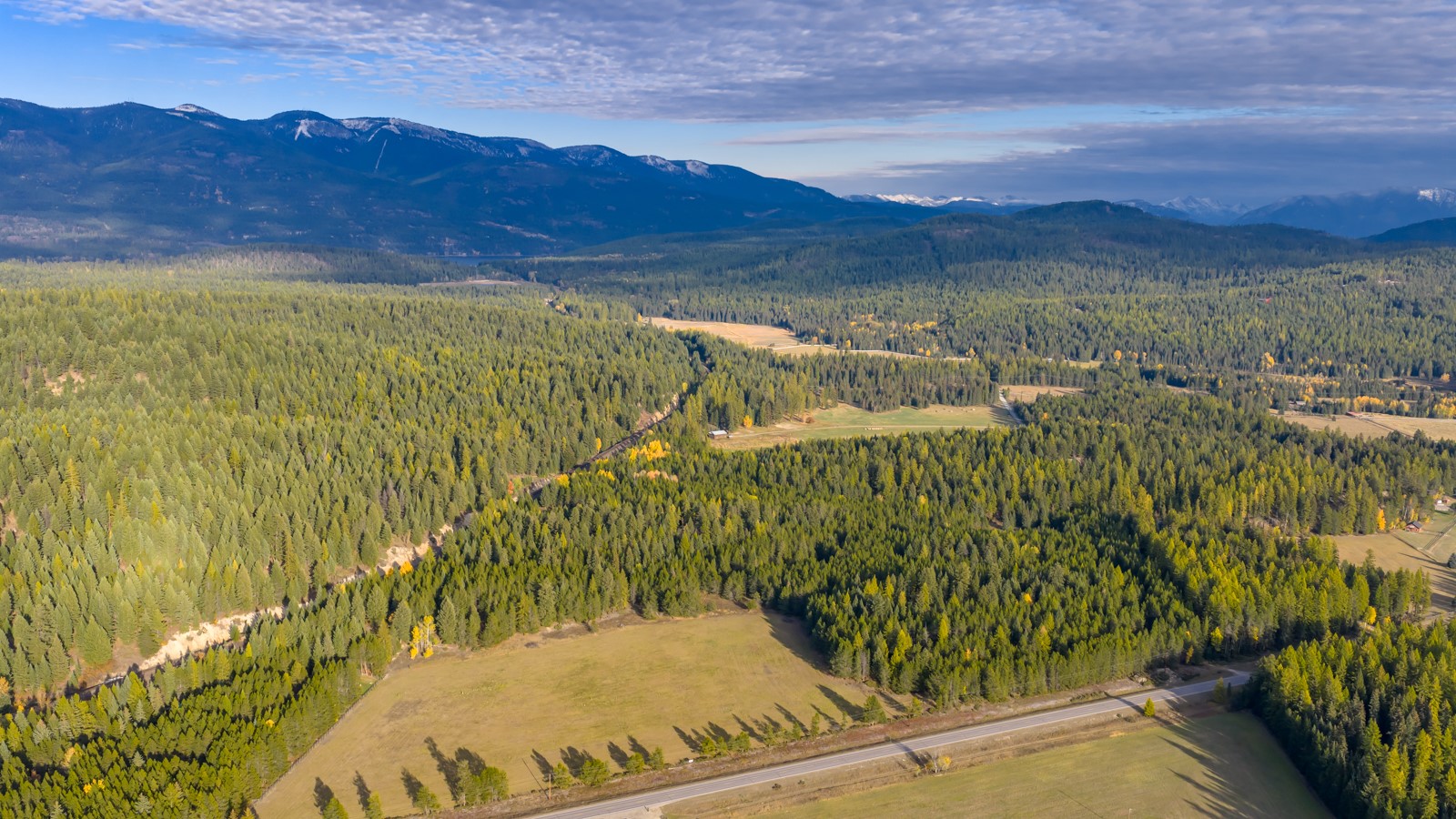 340 Tamarack Creek Road