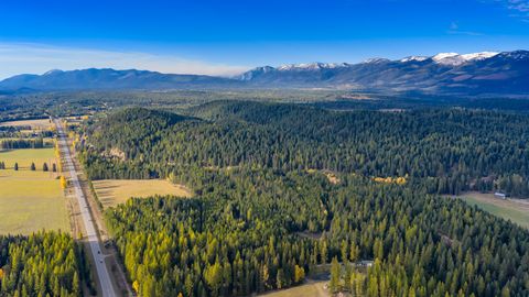 Photo of 340 Tamarack Creek Road, Whitefish, MT 59937 (MLS # 30049324)