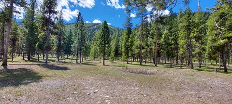 Tiny photo for NHN (Parcel C) Deer Walk Way, Darby, MT 59829 (MLS # 30071278)