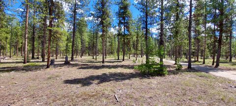 Tiny photo for NHN (Parcel C) Deer Walk Way, Darby, MT 59829 (MLS # 30071278)
