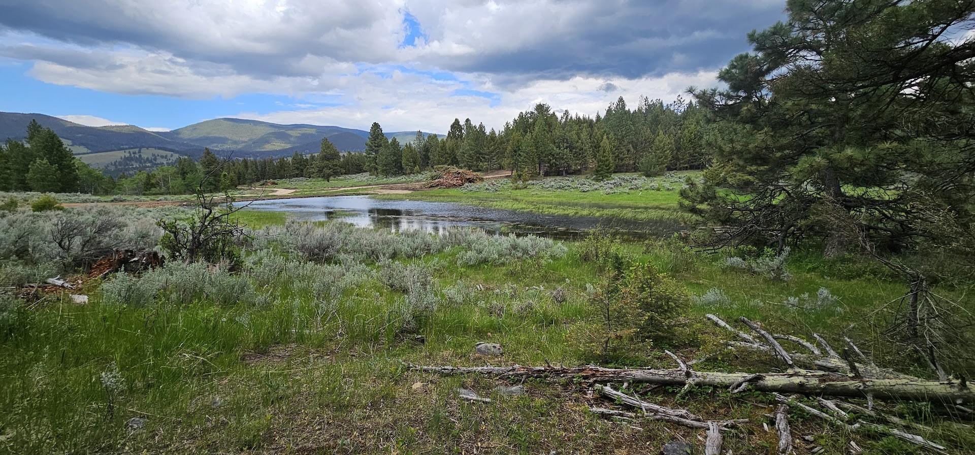 10 Tract, Hall Creek