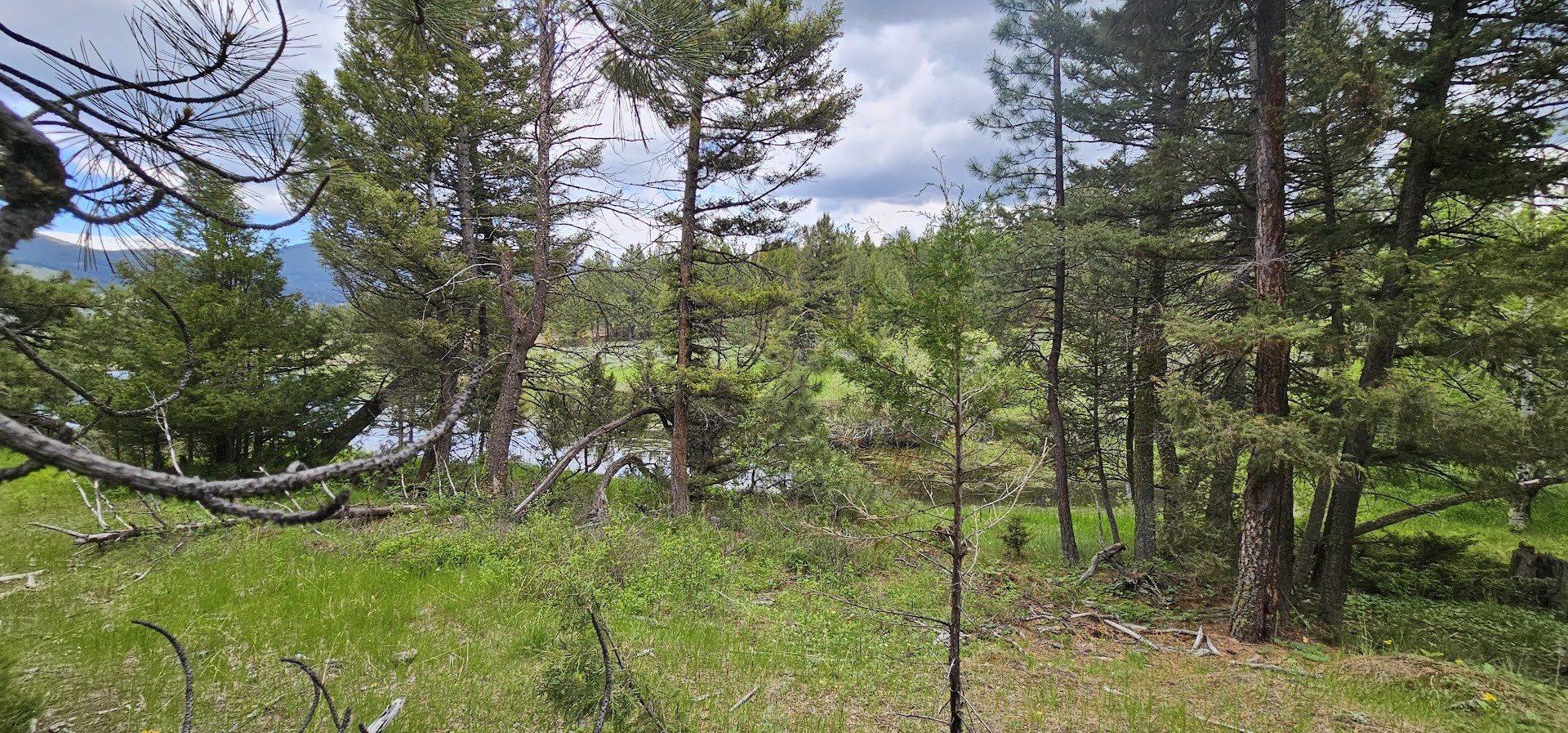 10 Tract, Hall Creek