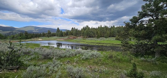 10 Tract, Hall Creek