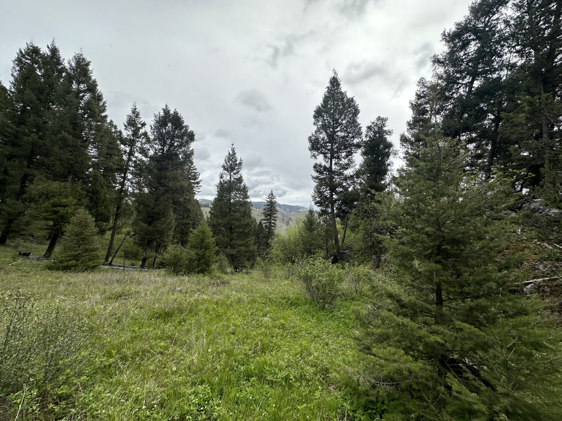 50 Juniper Ridge Lane