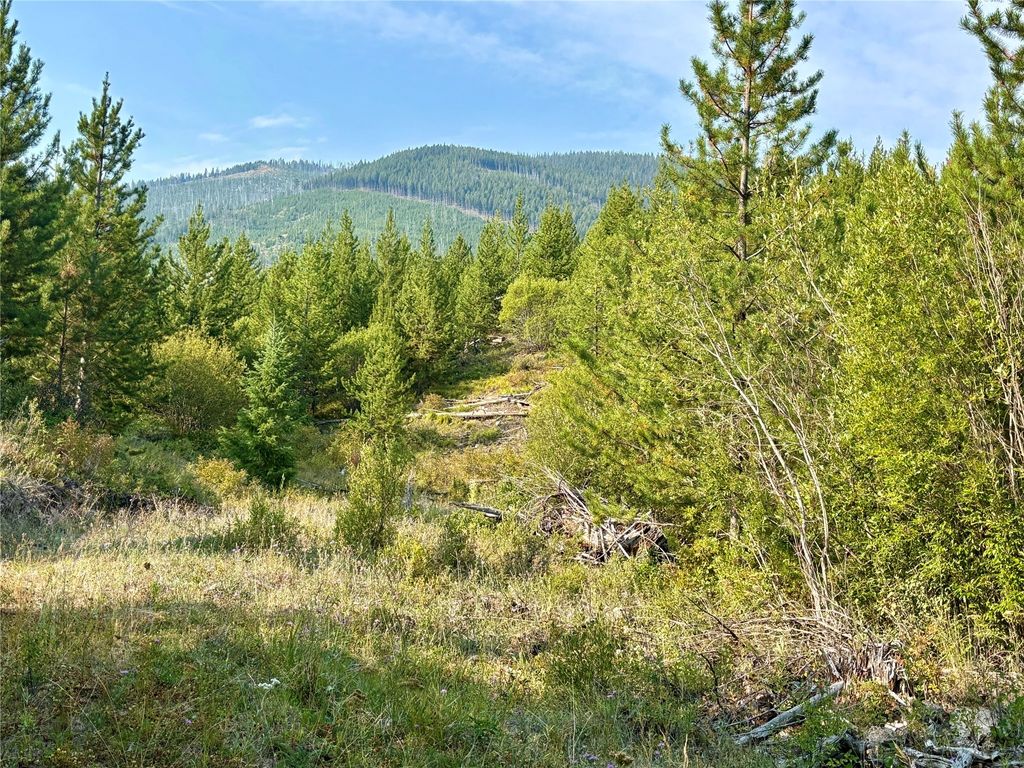Photo of Conner, MT 59827 (MLS # 30056434)