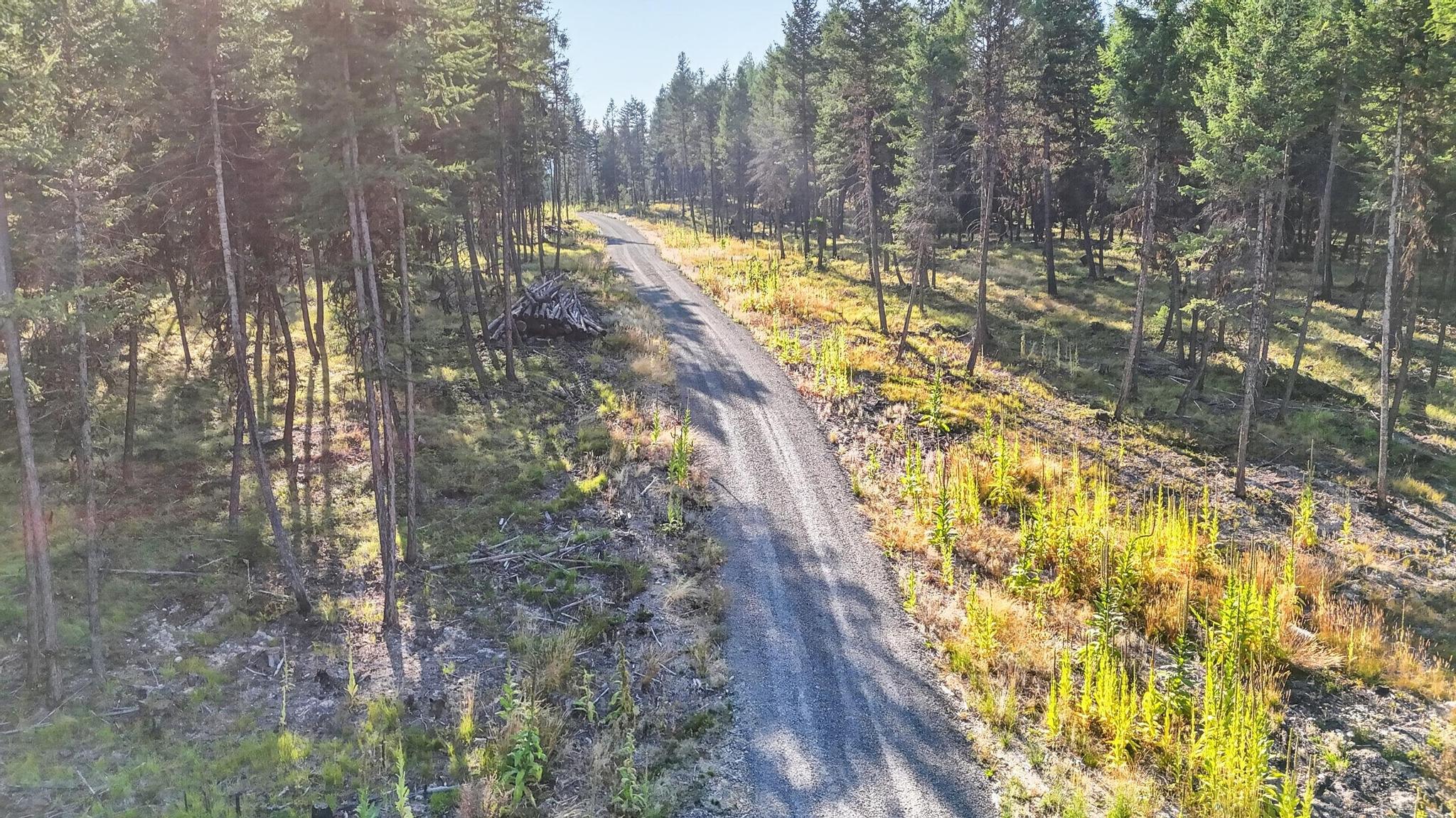 Lot 5 Forest Ridge Road
