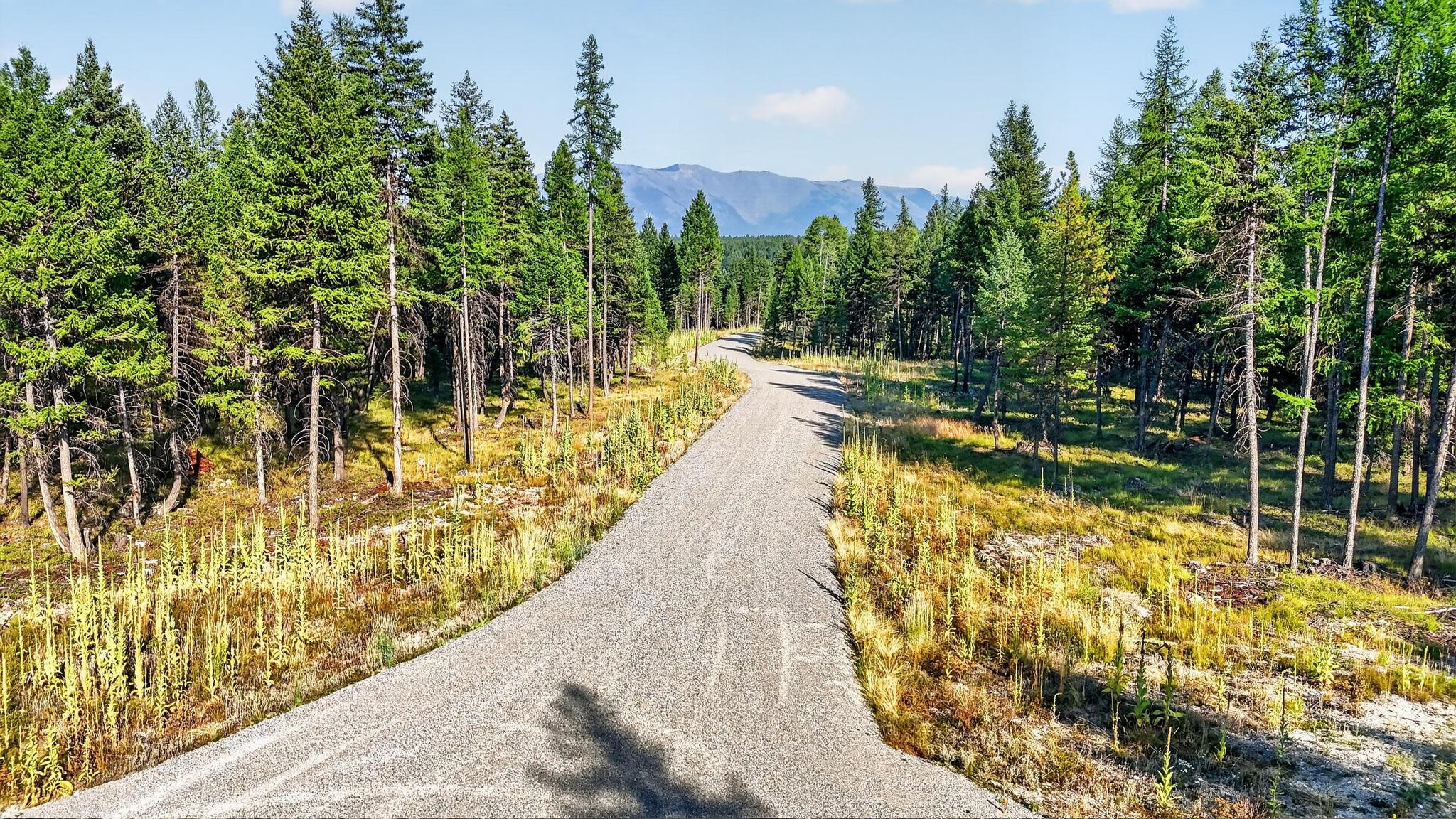 Lot 5 Forest Ridge Road