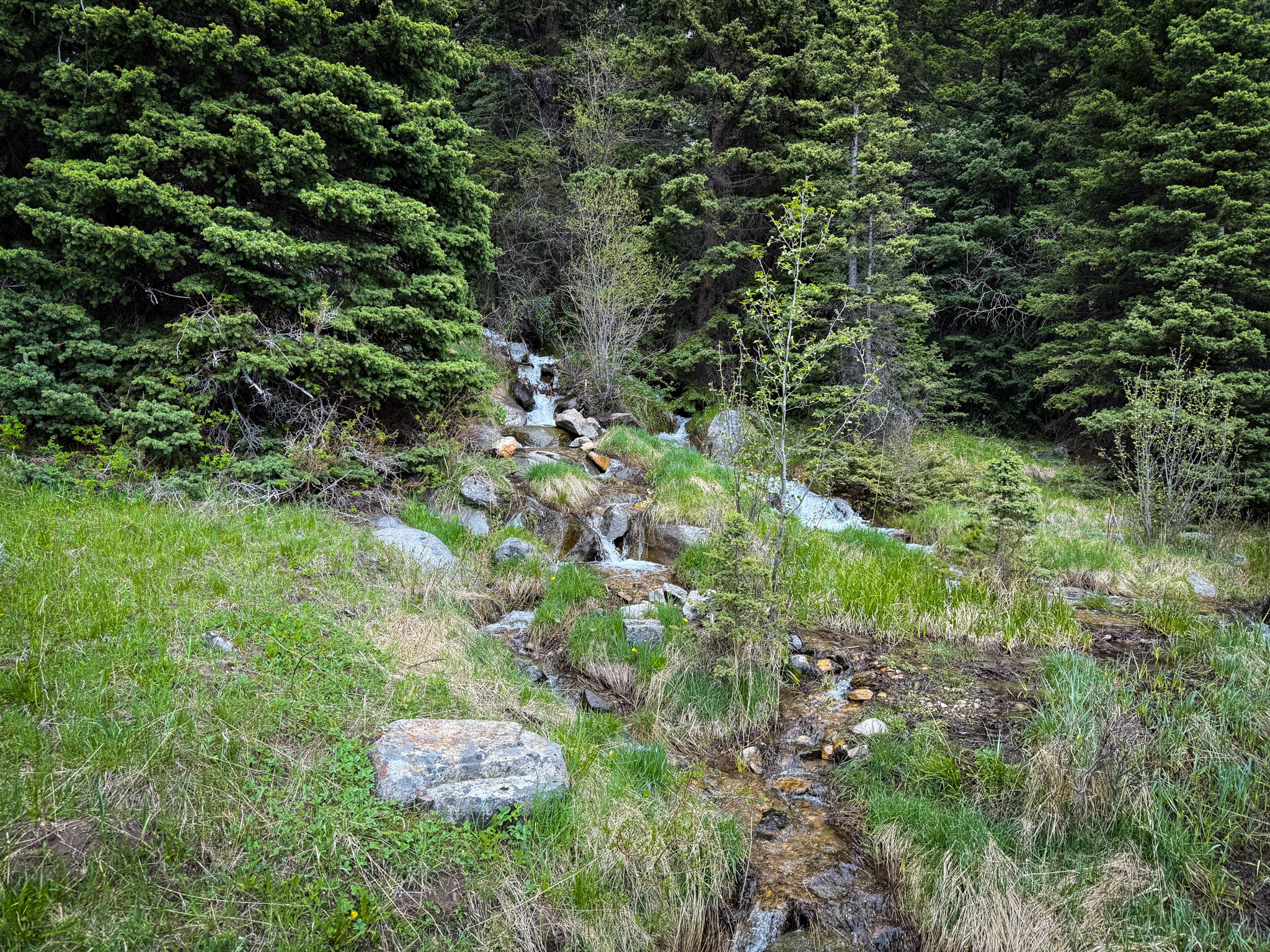 NHN (160 Acres) Charcoal Creek