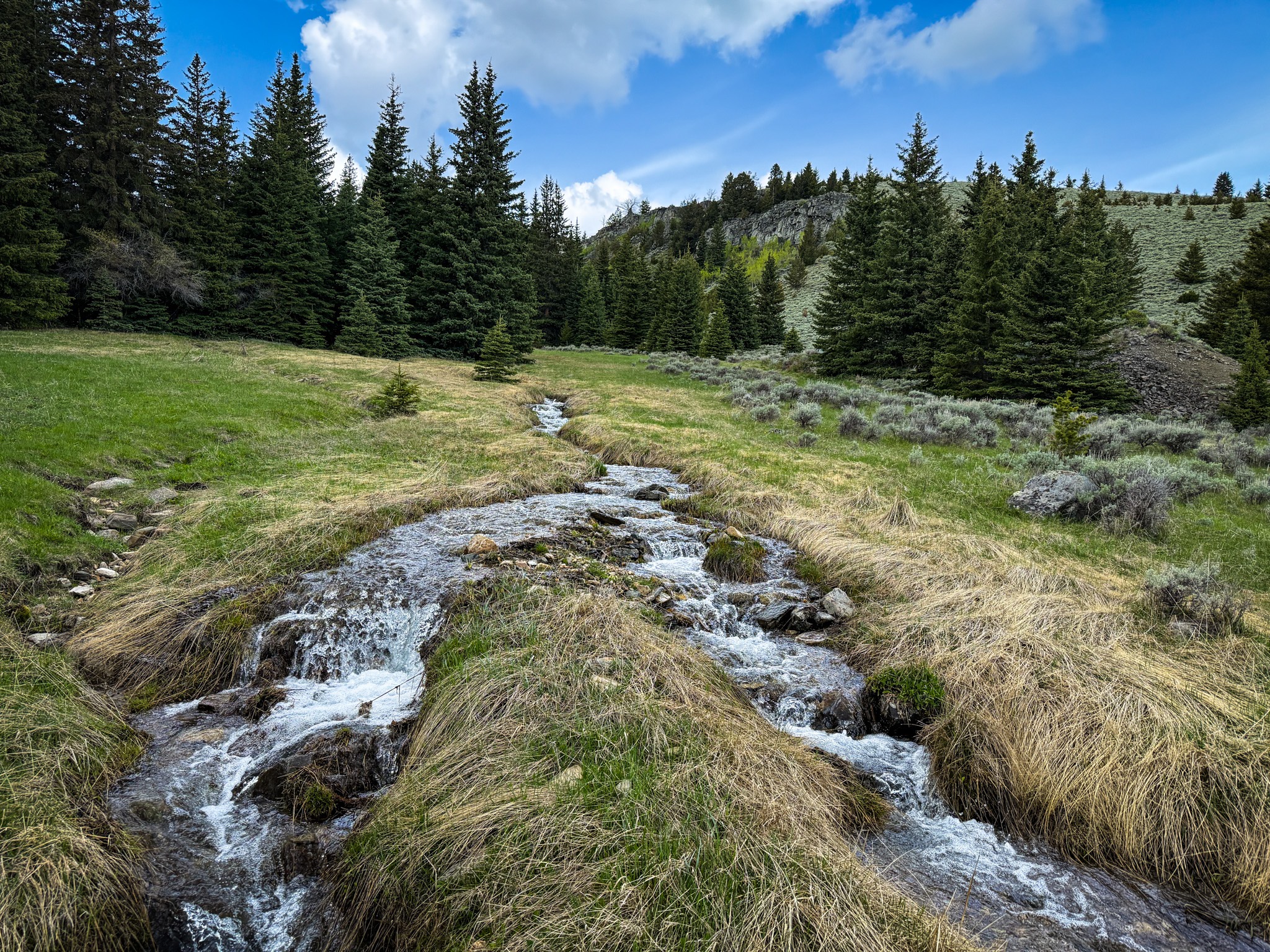 NHN (160 Acres) Charcoal Creek