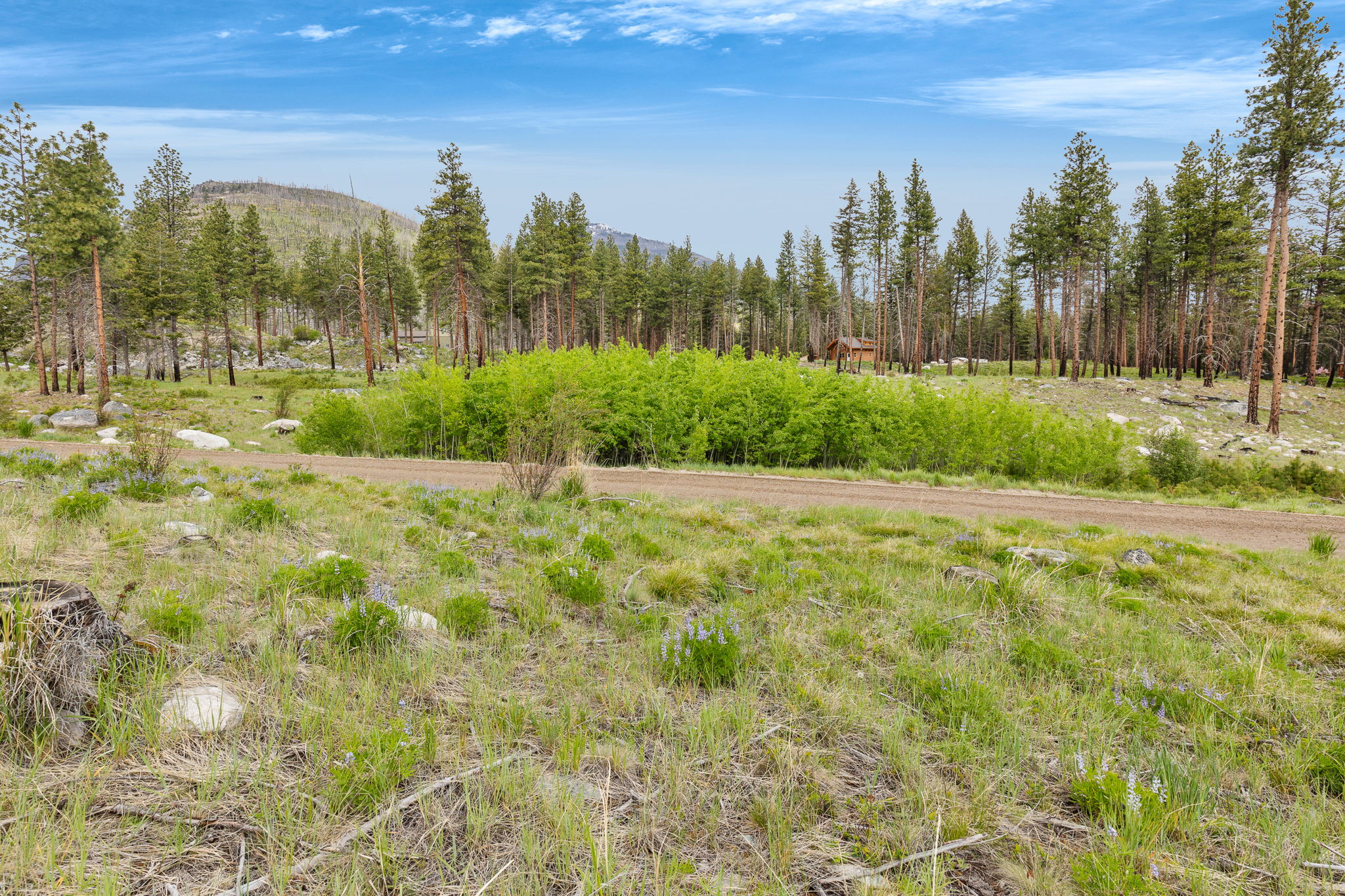 NHN Lot 11 Roaring Lion Road