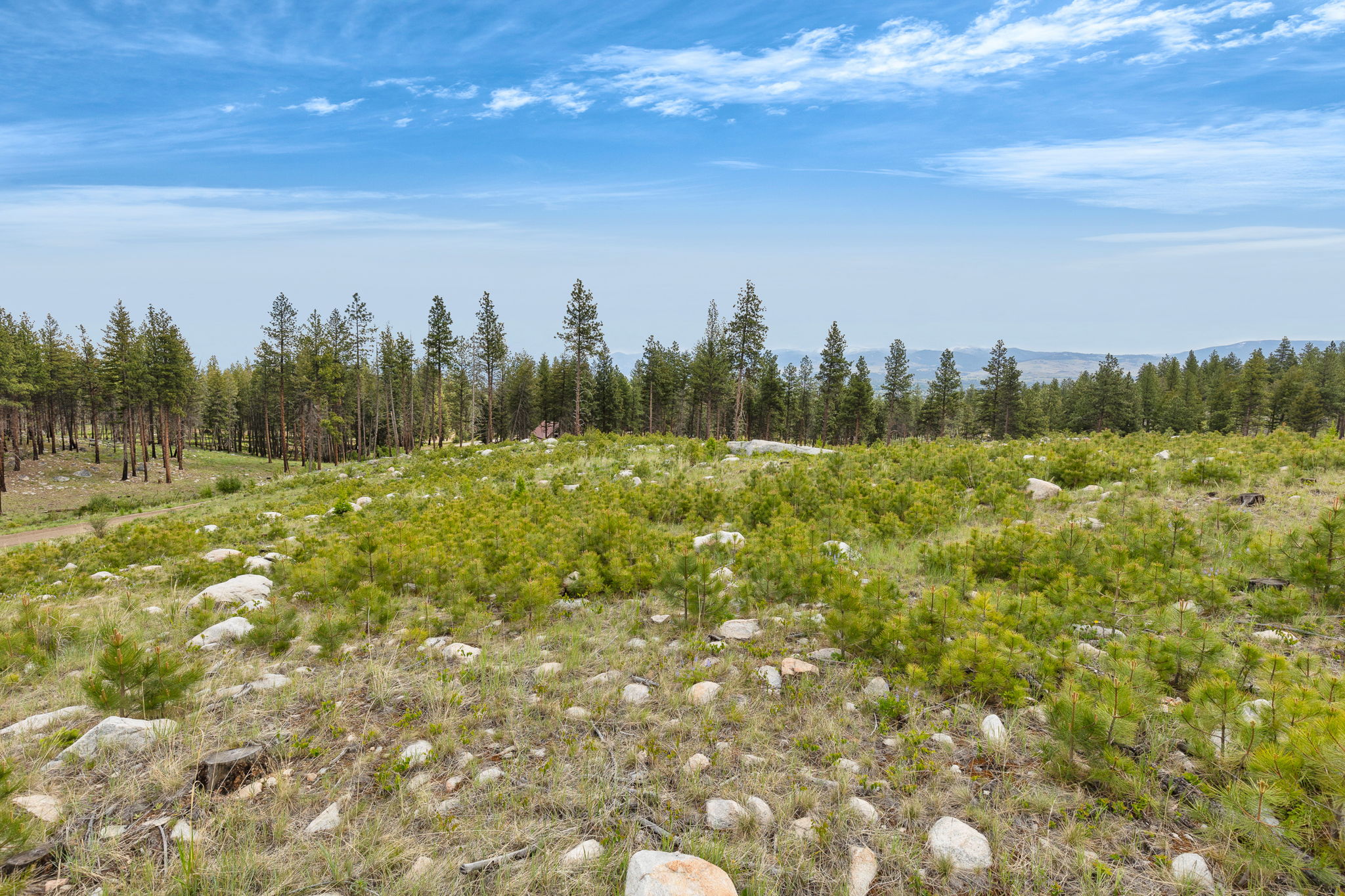 NHN Lot 11 Roaring Lion Road