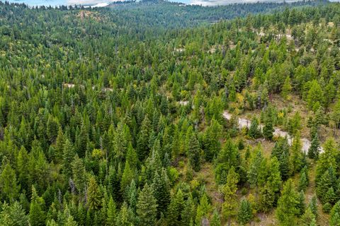 Tiny photo for Nhn (Tract 9) Boon Road, Somers, MT 59932 (MLS # 30057401)