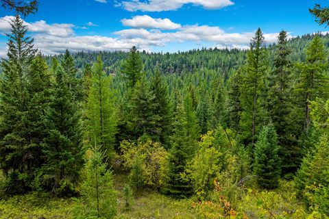 Tiny photo for Nhn (Tract 9) Boon Road, Somers, MT 59932 (MLS # 30057401)