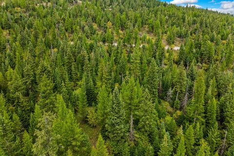 Tiny photo for Nhn (Tract 9) Boon Road, Somers, MT 59932 (MLS # 30057401)