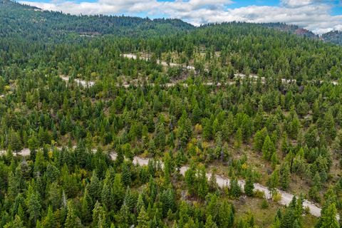 Tiny photo for Nhn (Tract 9) Boon Road, Somers, MT 59932 (MLS # 30057401)