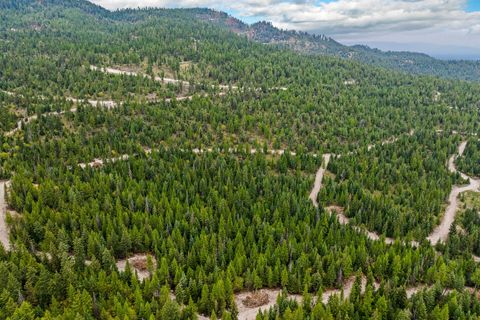 Tiny photo for Nhn (Tract 9) Boon Road, Somers, MT 59932 (MLS # 30057401)