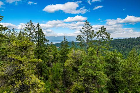 Tiny photo for Nhn (Tract 9) Boon Road, Somers, MT 59932 (MLS # 30057401)