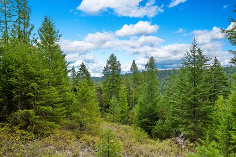 Tiny photo for Nhn (Tract 9) Boon Road, Somers, MT 59932 (MLS # 30057401)