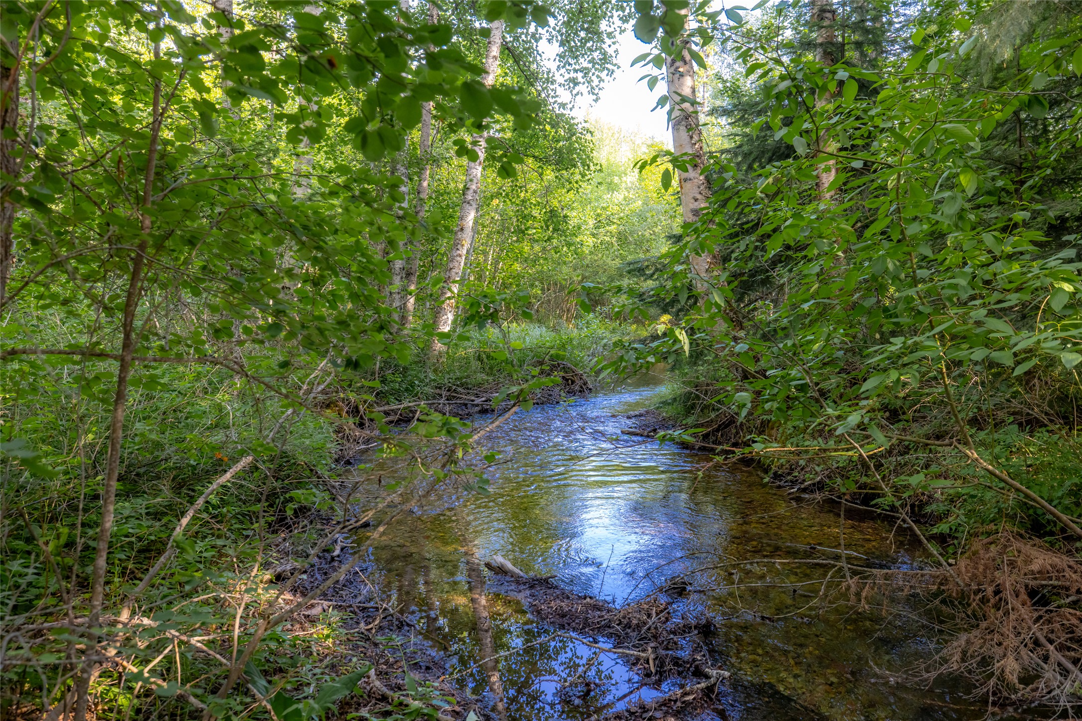 NHN Trumble Canyon Road