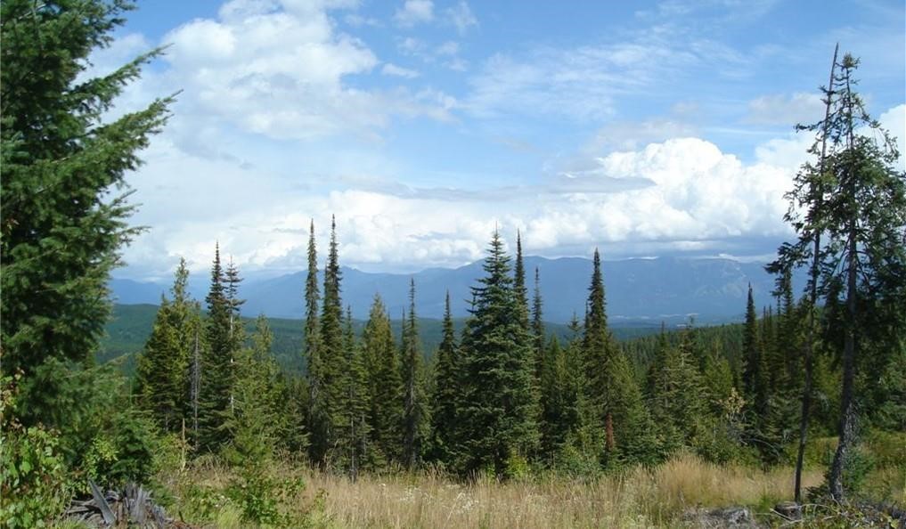 NHN North Beaver Creek